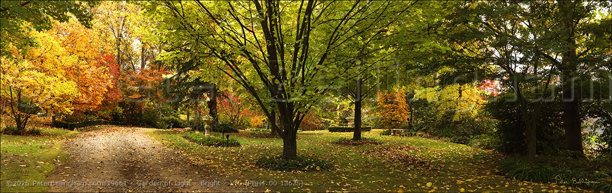 Peter Bellingham Photography Garden of Light - Bright - VIC (PBH4 00 13625)